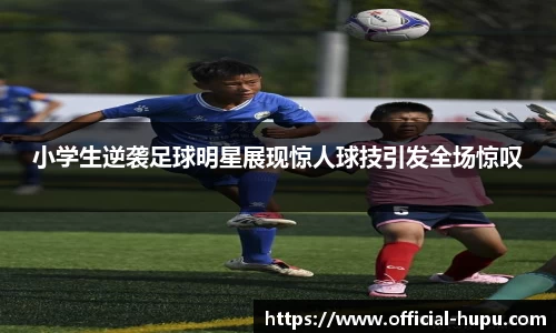 虎扑电竞官方正版网站